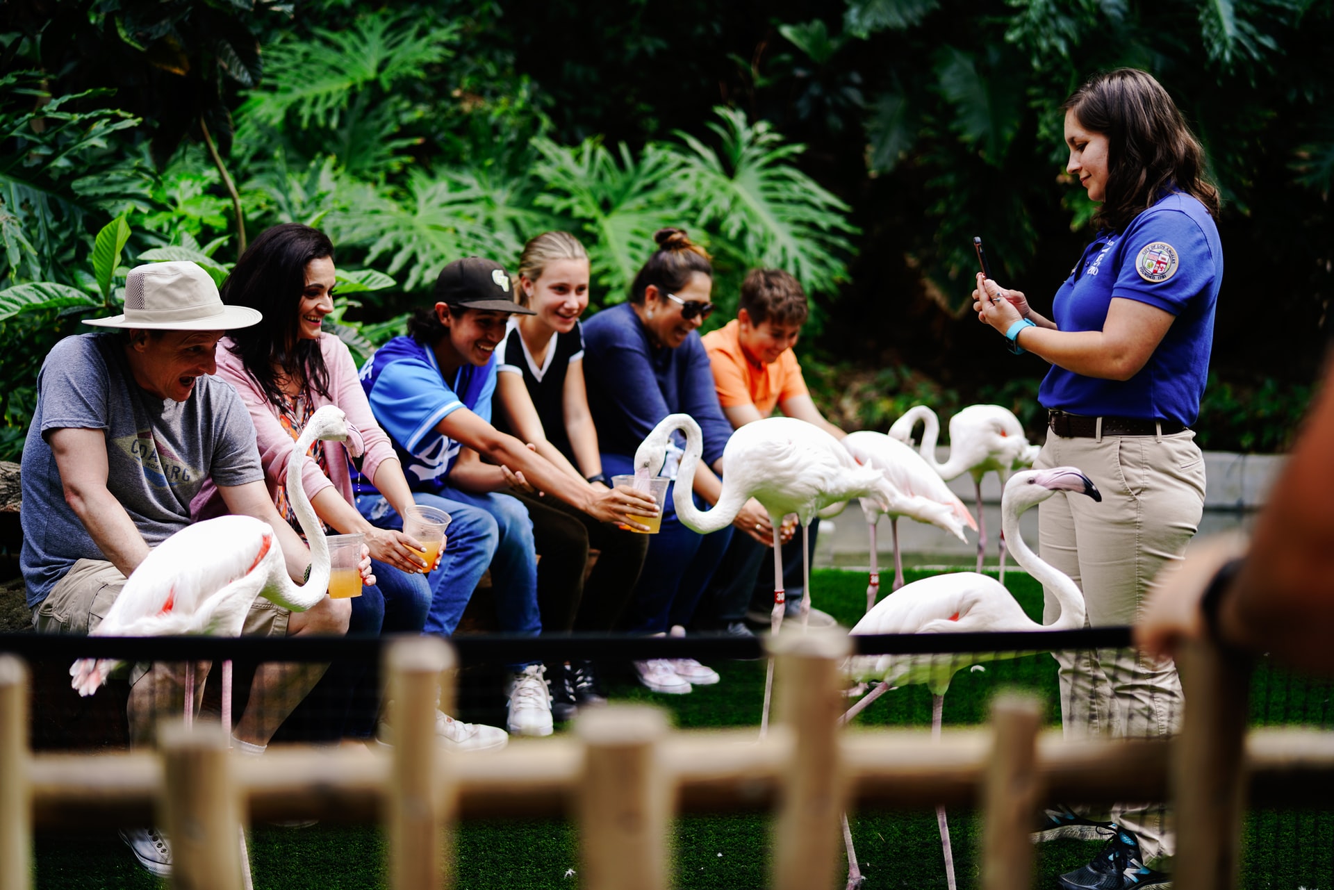 A group tour feeding birds
